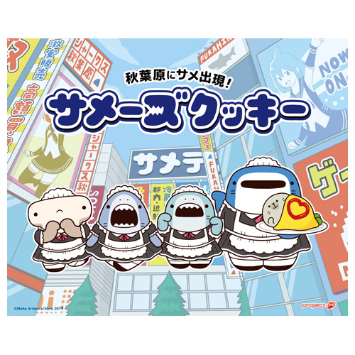 Akibaのサメーズクッキー Akibaのサメーズクッキー